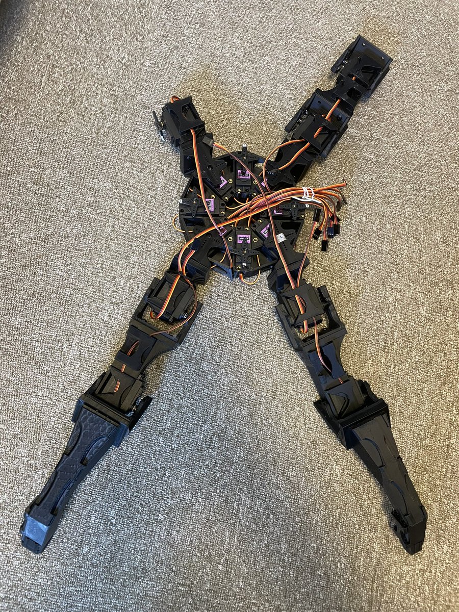 B_SKY_Lab's tweet image. 脚が順調に生えております
#Rospider