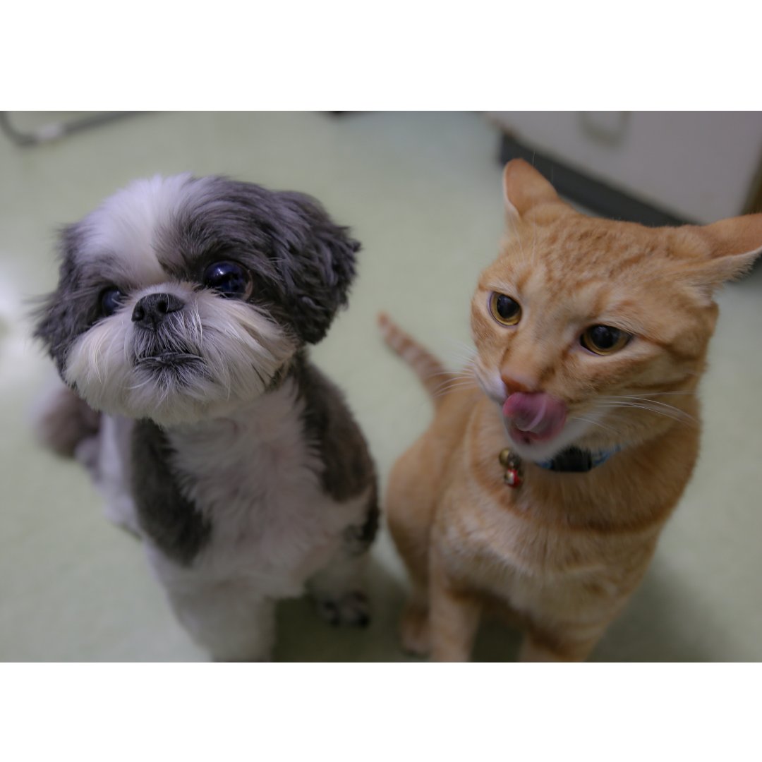 E7 8c Ab 81 Ae E8 96 Ac 81 Ae E9 A3 B2 81 Be 81 9b E6 96 B9 Twitter Search