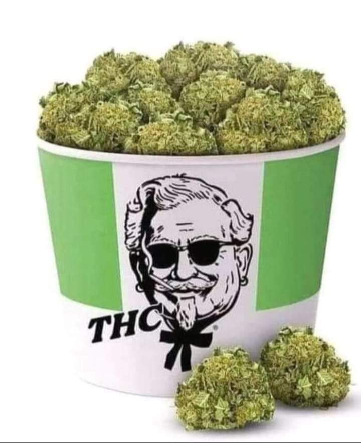 Dab5_at420's tweet image. I love a bucket of cannabis 😋💚💨💨