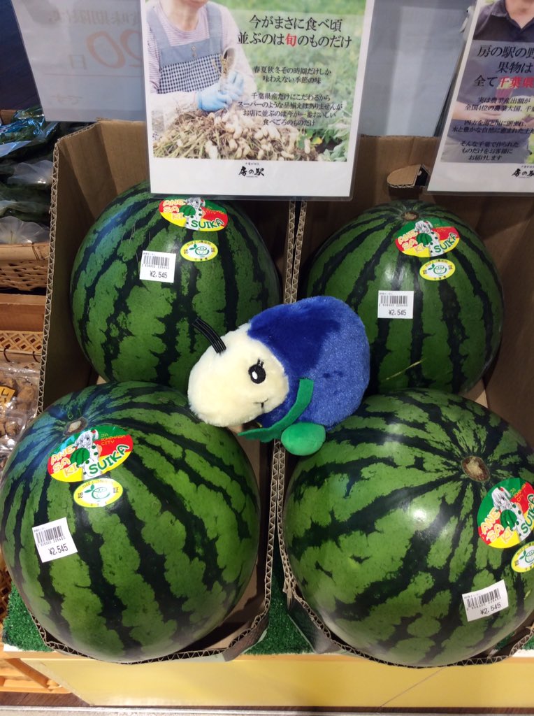海ほたるパーキングエリア 房の駅では 姉崎スイカ を 販売しております 土作りからこだわり 濃厚な甘さが特徴の大玉 スイカで 海ほたる君もかぶりつきたくなる位の 美味しさです スイカは 疲労回復や水分補給に オススメです T Co