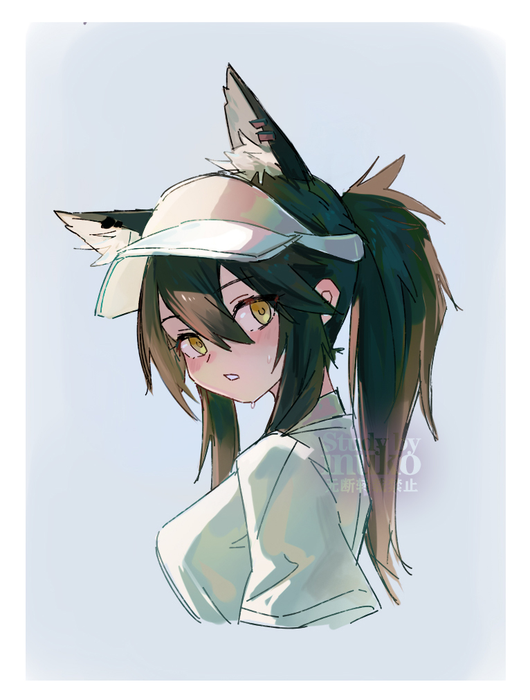 texas (arknights) 1girl animal ears solo ponytail black hair wolf ears upper body  illustration images