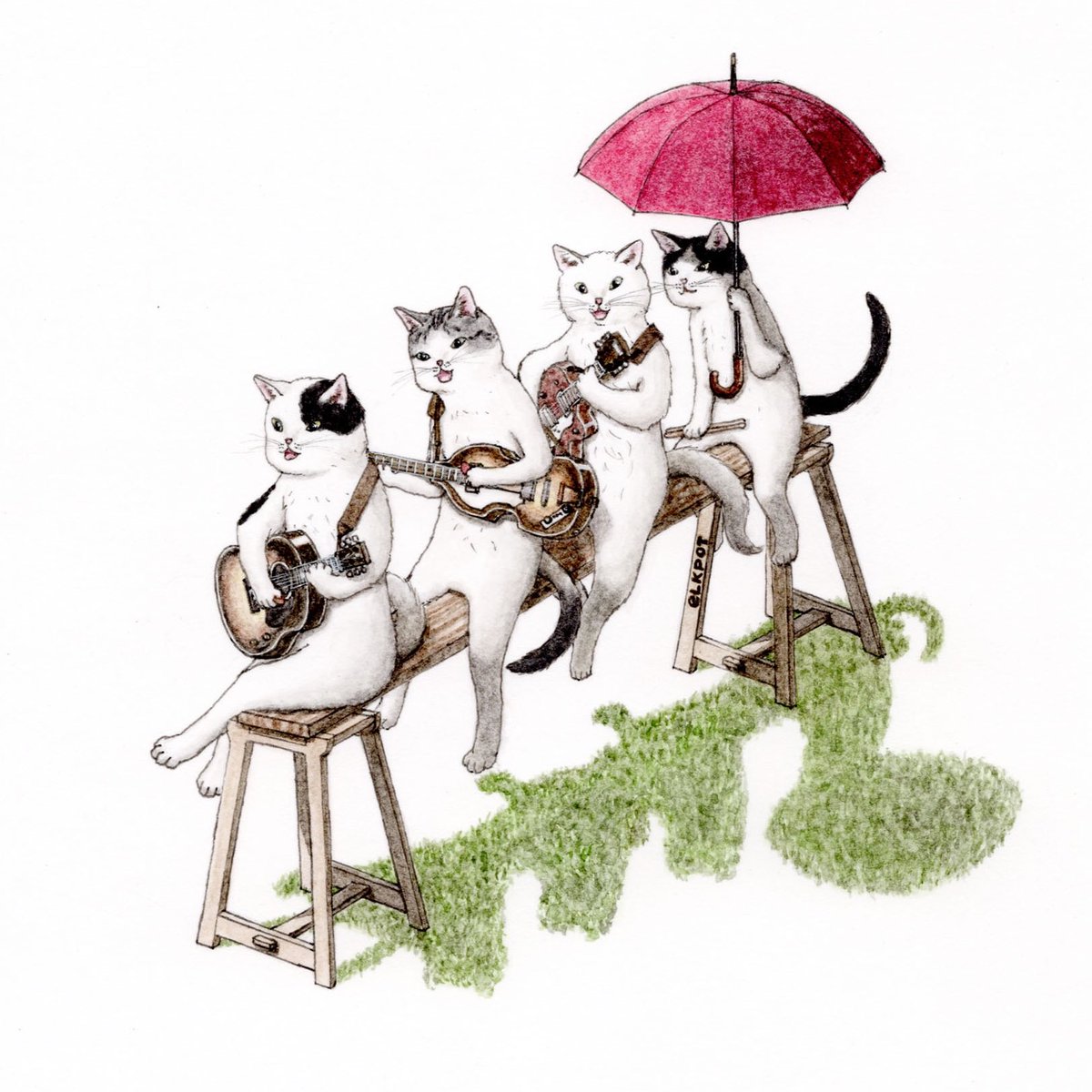 no humans instrument cat umbrella guitar music white background  illustration images