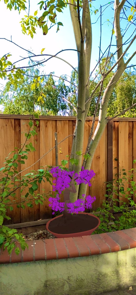 chxreth's tweet image. Got my AR @zenft_ Bonsai model today! Plotted this Sakura in my backyard. 

Bonsais are only .07 on OS rn. Cop some while you can. Stay Zen!