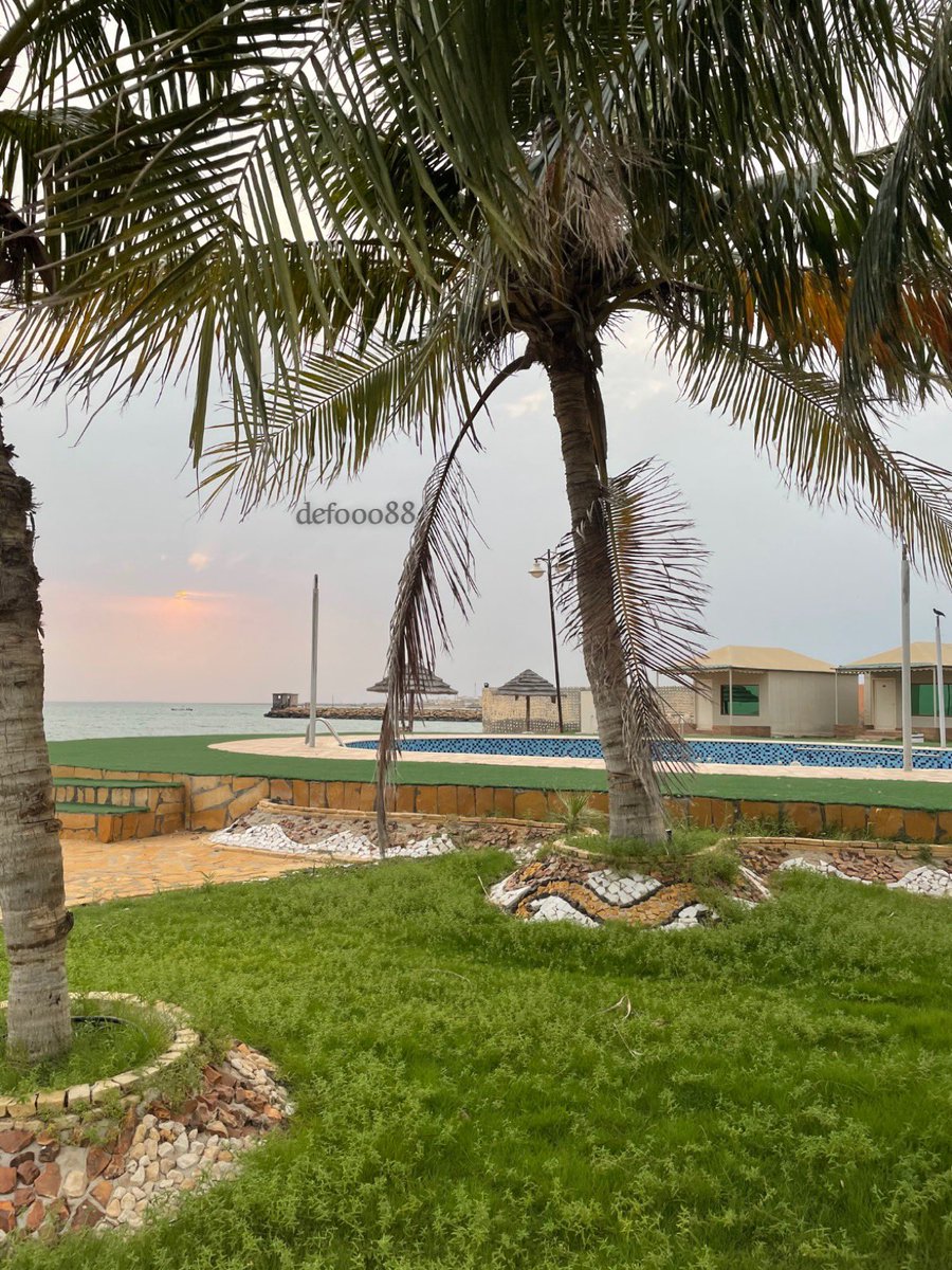 defooo88's tweet photo. #جزيرة_فرسان  مُتعة بصرية ومناظر خلابة😍🌴🎑

تصوير : البرنس 📸🎥
#سناب_شات
https://t.co/b537f8EztX https://t.co/1mqm53xUb0
