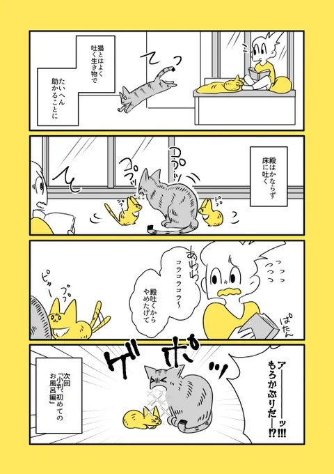 猫と子猫の攻防
https://t.co/dNfr2o3YlE 