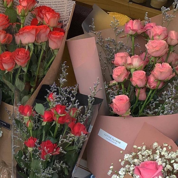 hion2h's tweet photo. احب الورد ♥️ https://t.co/MrbMq3i4sR