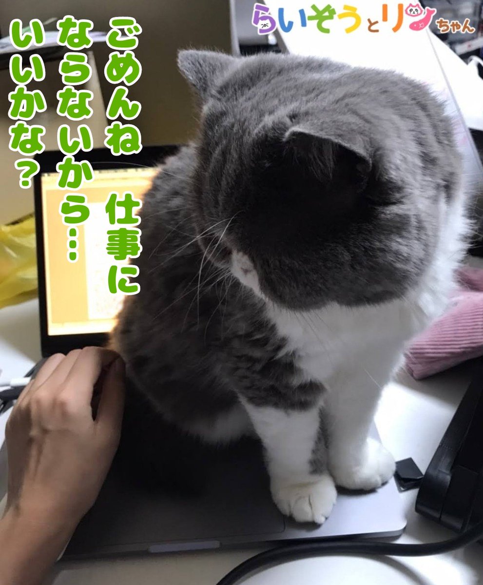 行徒 Yukit0o0 Twitter