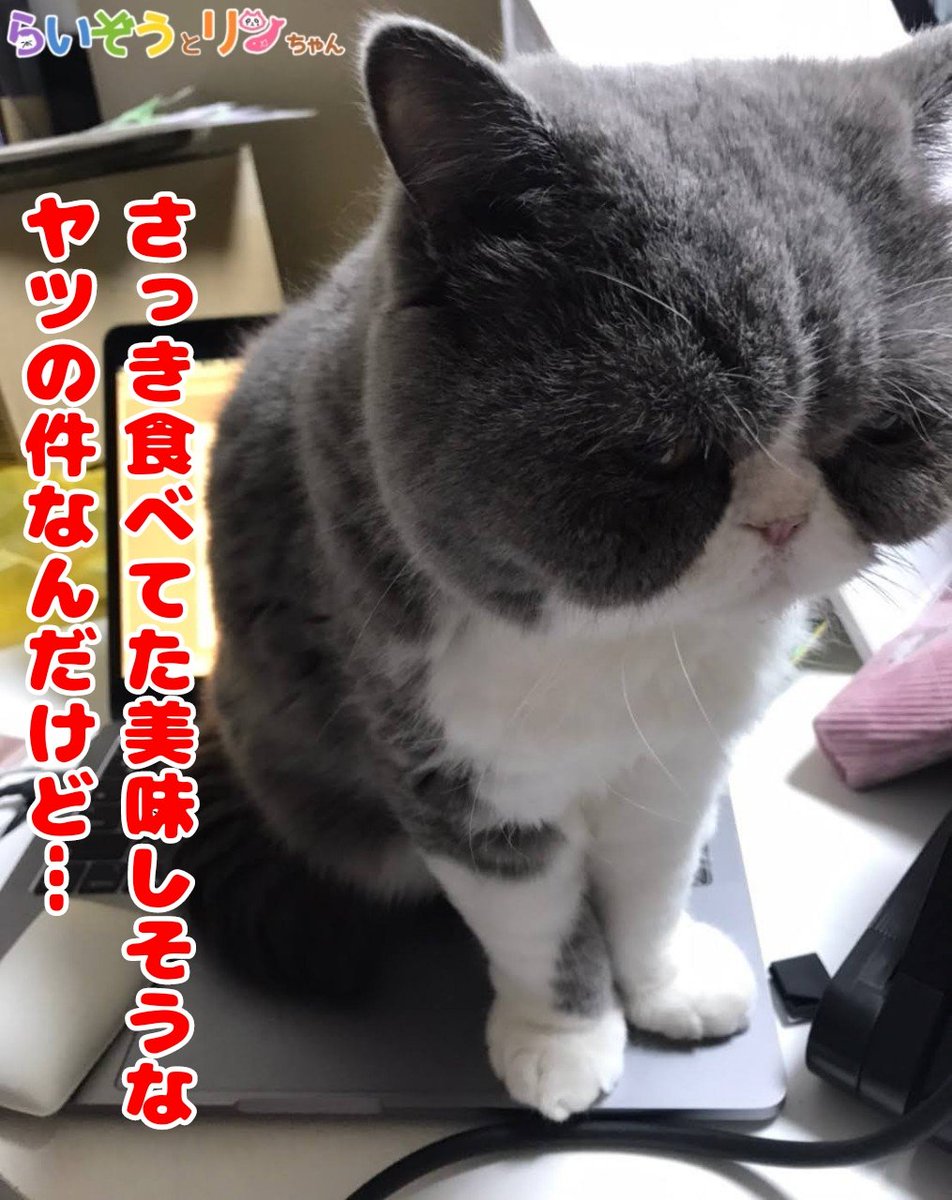 行徒 Yukit0o0 Twitter