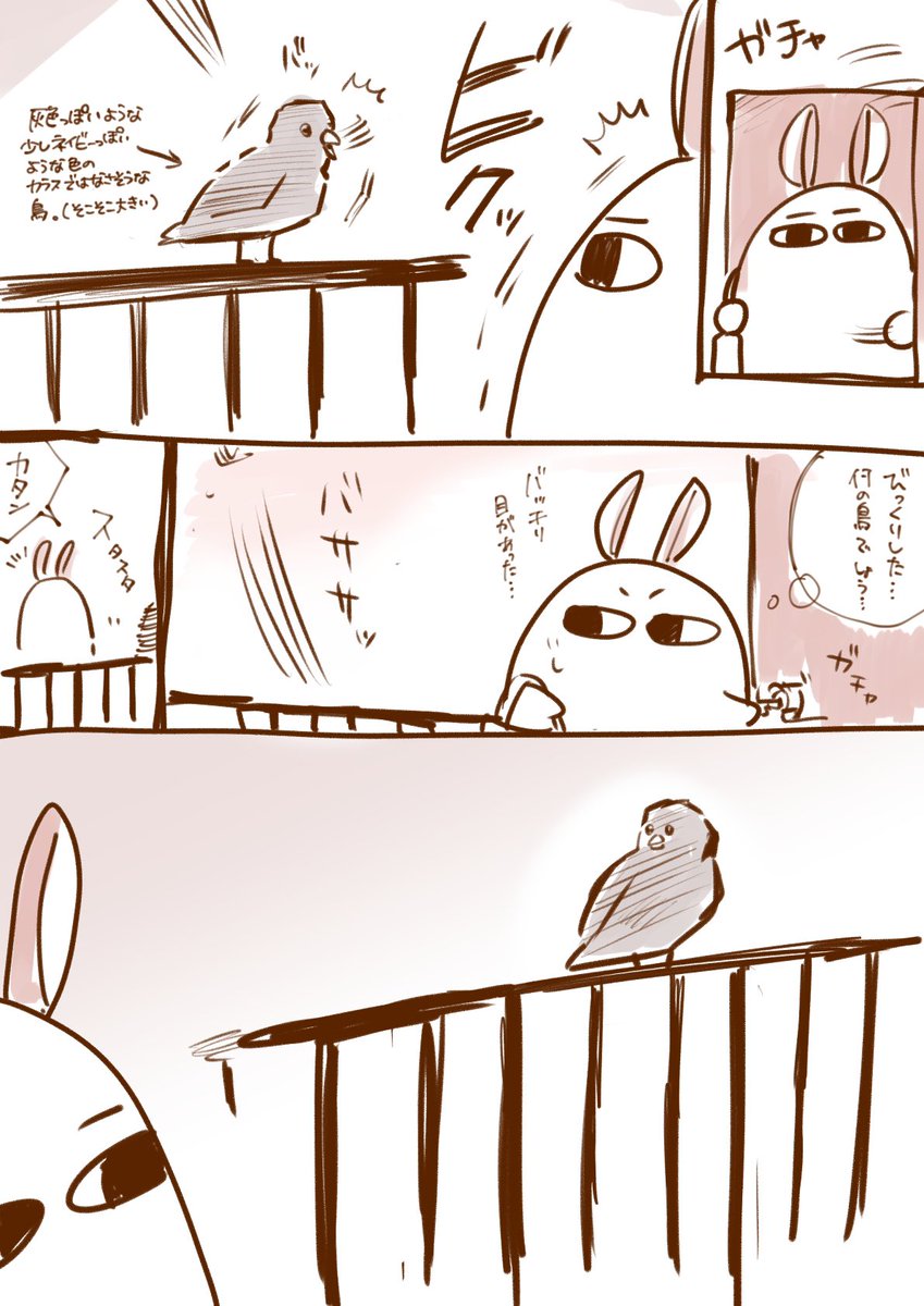 さっきあった出来事🐦
(代理:ニトクリス) 