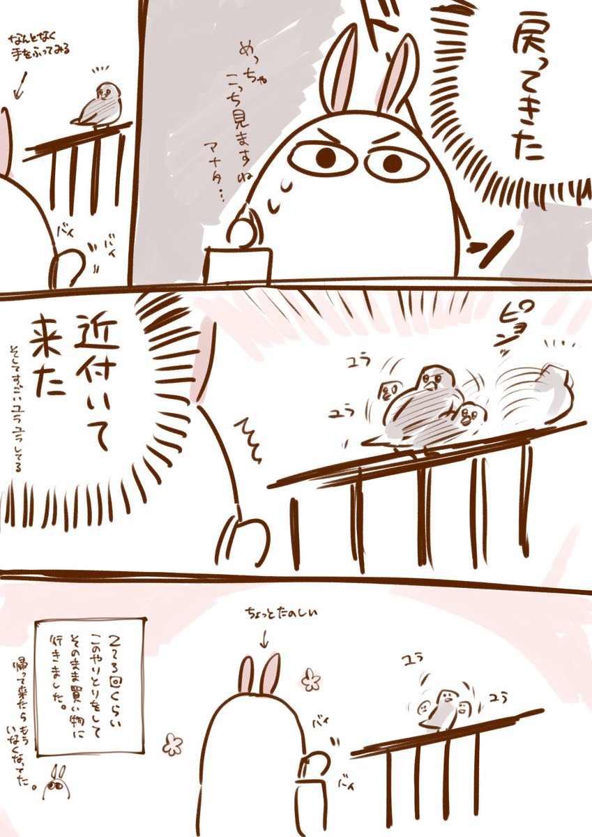 さっきあった出来事🐦
(代理:ニトクリス) 