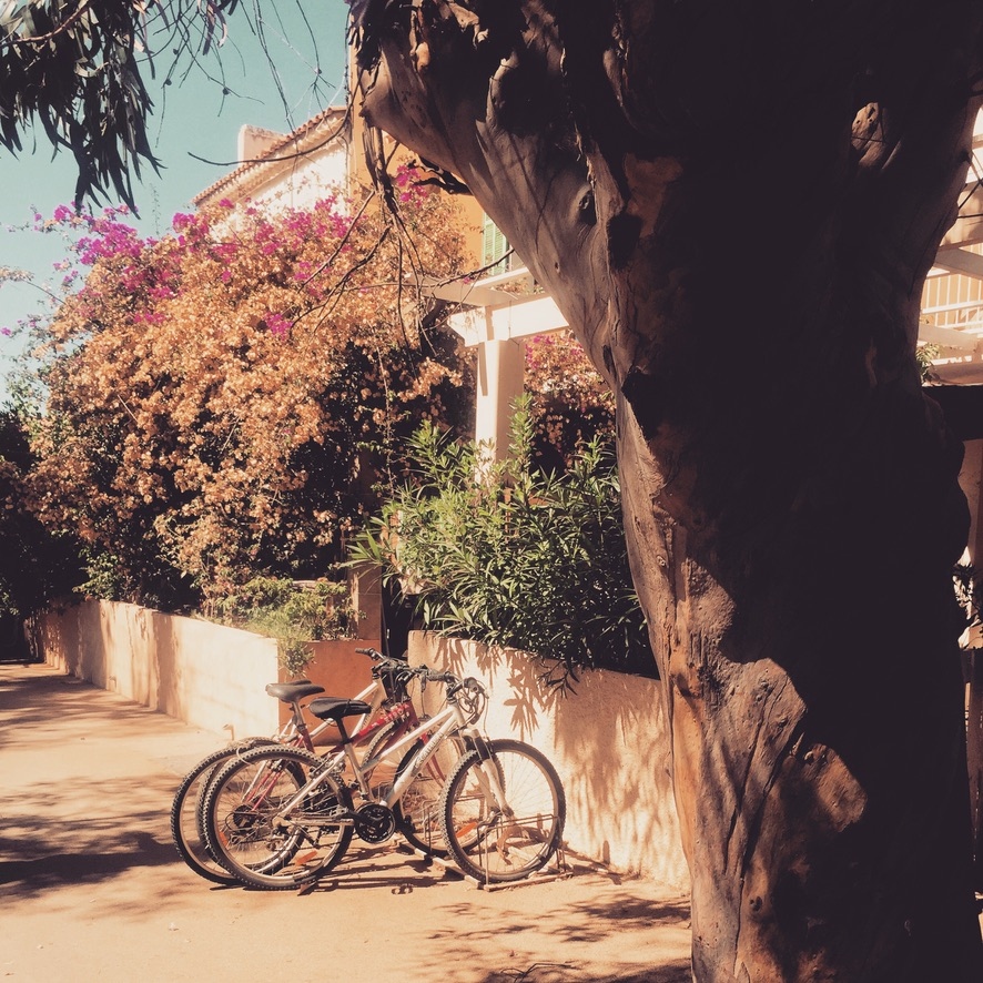 Do you have a morning routine? I’ve become a big believer in the fact that there is immense value in “starting off your day” before it actually...
________________
Full Read: l8r.it/KlZe