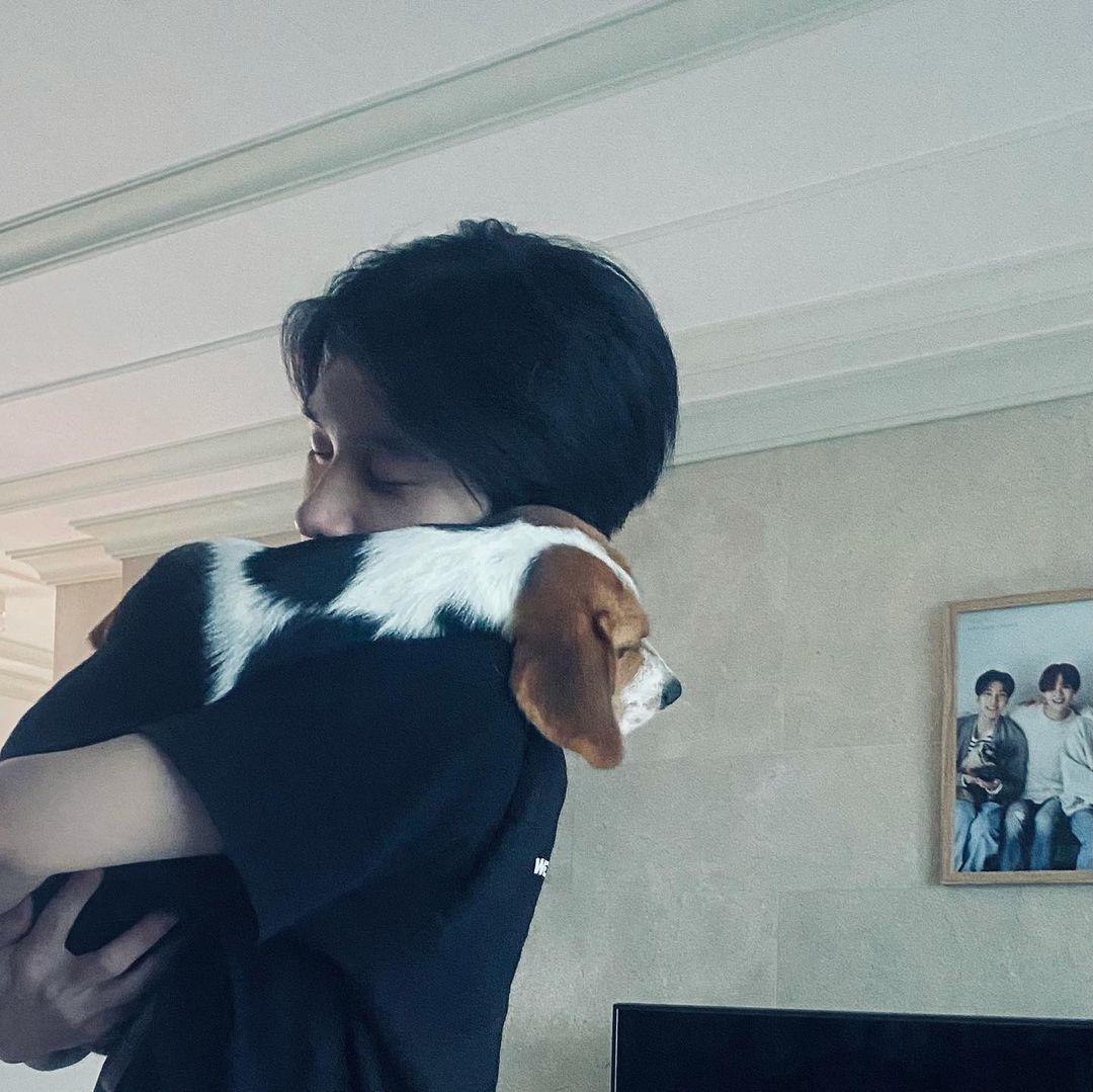 in_3AM's tweet image. 이거되게
#신혼일상 #육퇴
붙어있을거같은 사진이네