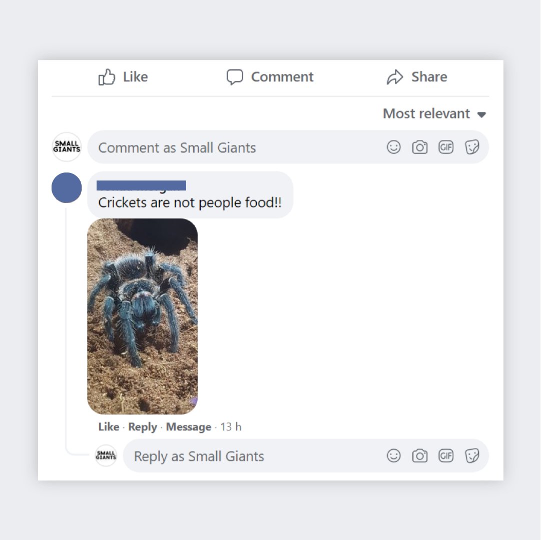 Whatever you say mate… you've got a nice tarantula there 😉

#edibleinsects #snackhealthy #noplanetb #funnyquotes #smallbusiness #innovation