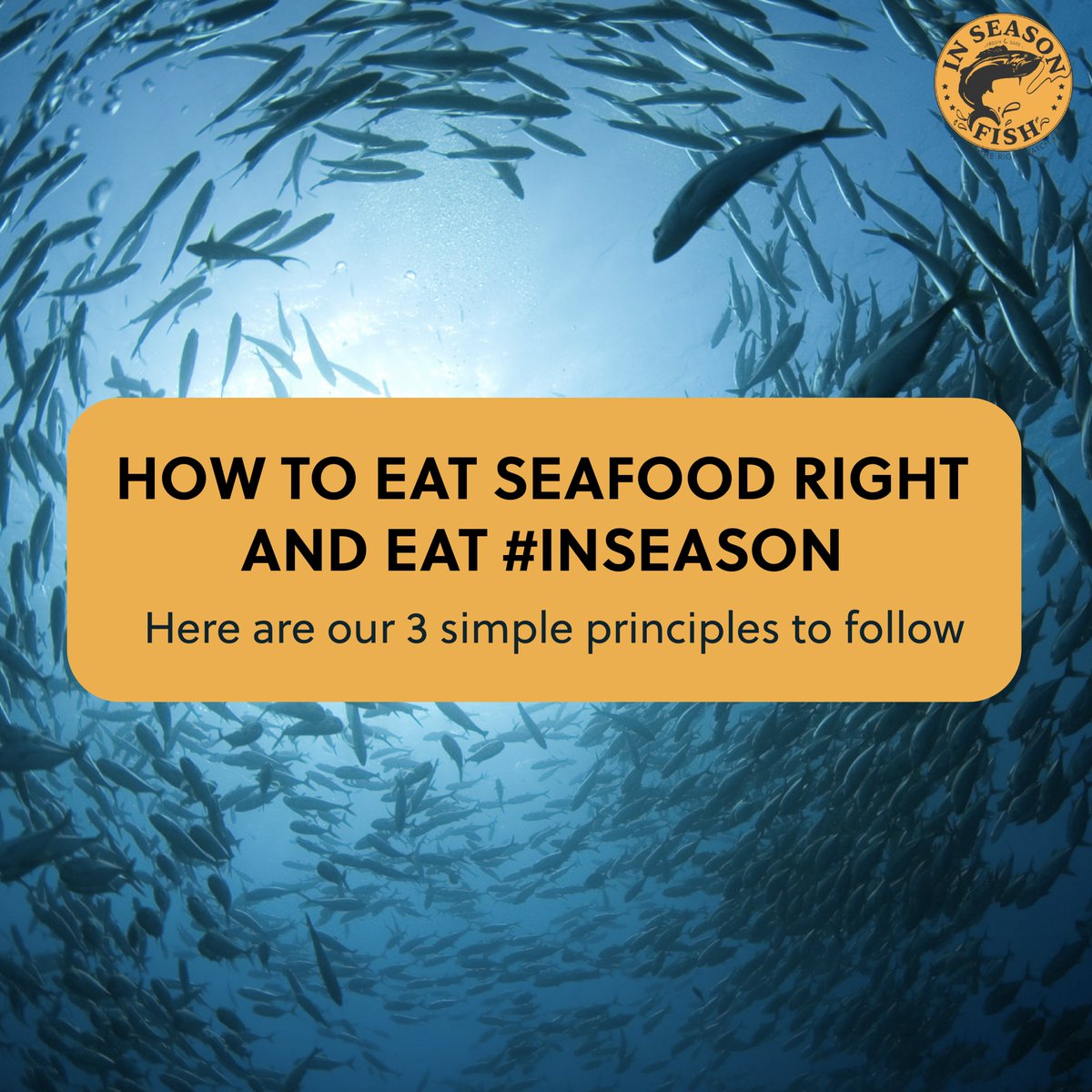 InSeason Fish tweet media