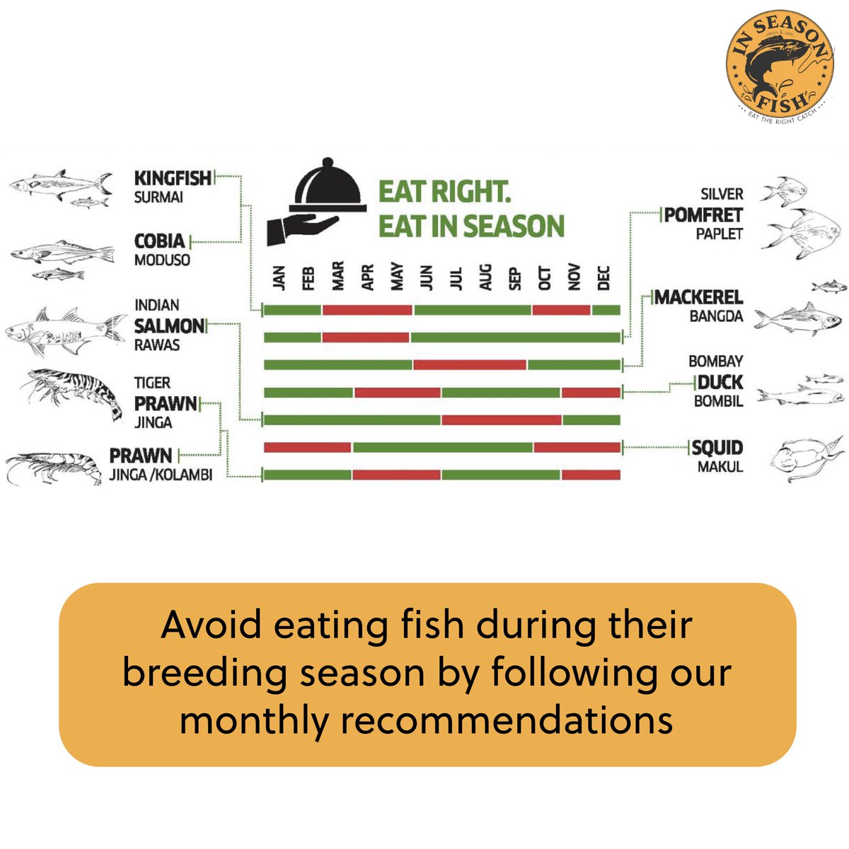 InSeason Fish tweet media