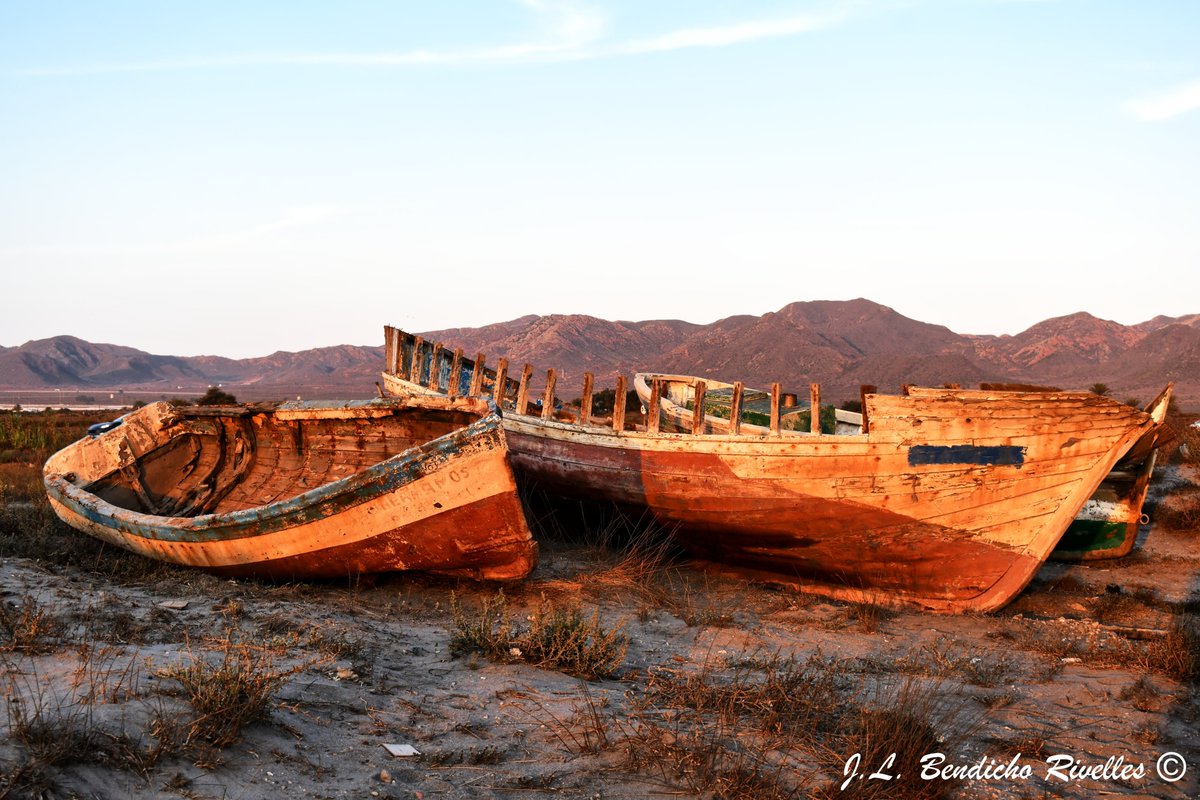 SELU©Photography (@proyecfotoselu) on Twitter photo 