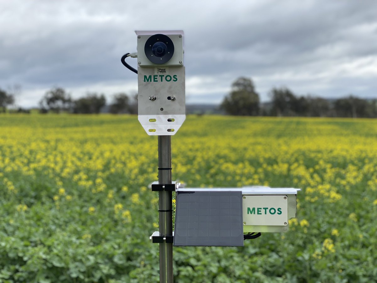 MetosANZ's tweet photo. “How’s the crop looking?”
Something you don’t have to ask when you have a CropView camera in your paddock! #cropview #agtech #WesternAustralia #agriculture #canola #wheat #lupins #farming https://t.co/5Wy4Rd2ZAh