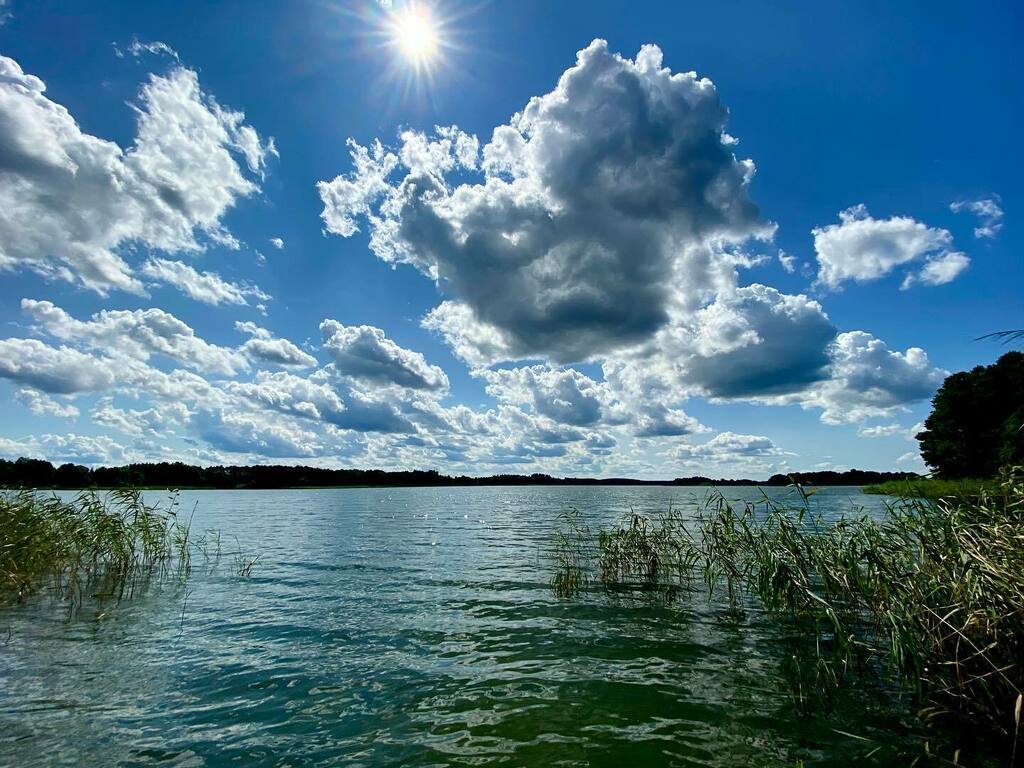 Ania_Szubert's tweet photo. Summertime #warmiaimazury #jezioramazurskie  #lake  #outdoors  #beautifuldestinations #awesomeearth #earthfocus #travel #global_hotshotz  #nature #ignature #awesome_shots  #exklusive_shot #theimaged # https://t.co/3CvVmuuLfX https://t.co/4WyzXZsMwi