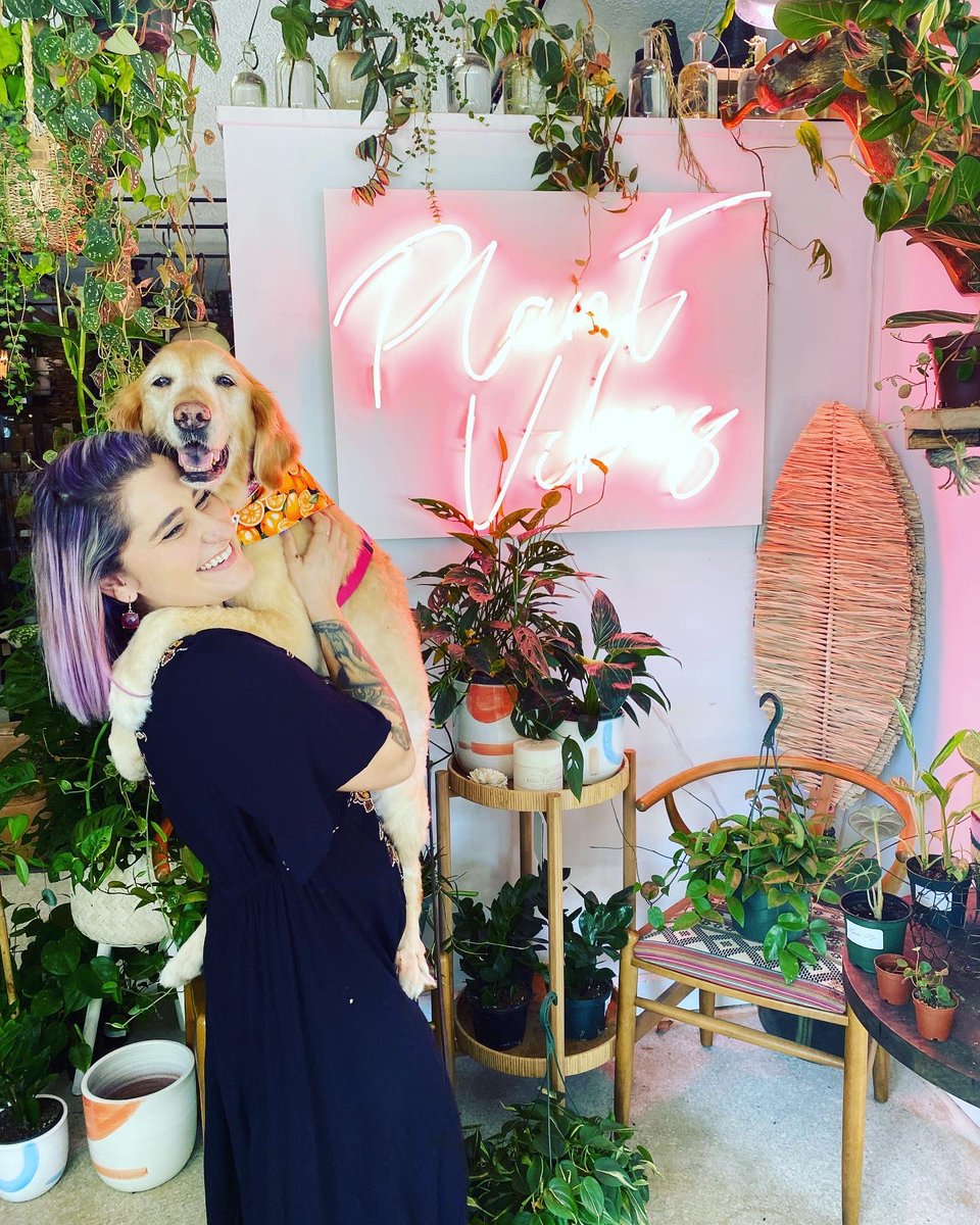 AlexsisMarie23's tweet photo. I Love This Dog Too Much 🐾🪴 https://t.co/RJ2Ign2Zyj