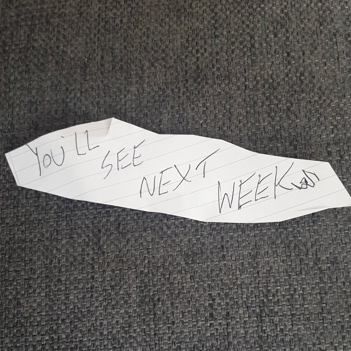 Fiona Liquid tweet media