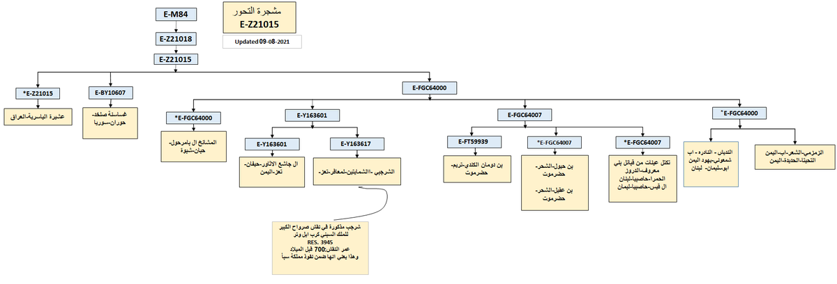 E_m84_results's tweet photo. يسرنا إعلان نتيجة YSEQ لعينة علي بامرحول-حبان-شبوة
برقم:33784
موجبة للتحورات:
E-M84>Z21018>FGC64000
تصطف نتيجة المشائخ بامرحول بجوار أفرع:
-(تكتل المعافر-تعز) 
-(بن دومان الكندي,باحيول -حضرموت)
-غساسنة حوران-سوريا
بحاجة لتطوير أدق لمعرفة موقعها بين هذه الافرع
*مرفقة مشجرةE-Z21015 https://t.co/1DFHHXpvIO