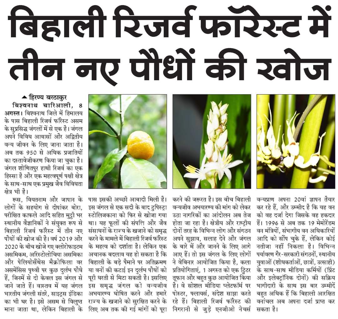 Kalpajit Saikia কল্পজিৎ শইকীয়া tweet media