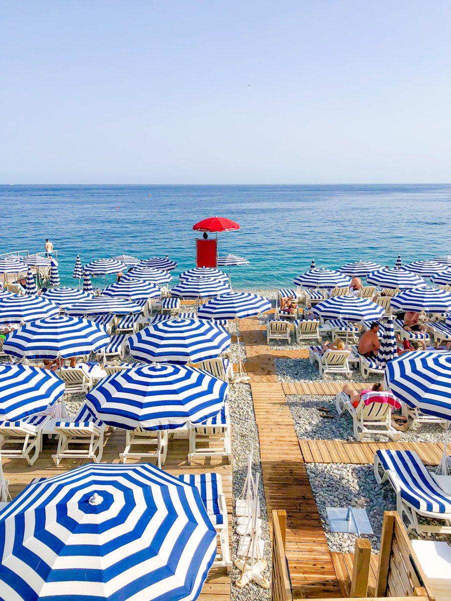 Wilson&Co tweet media