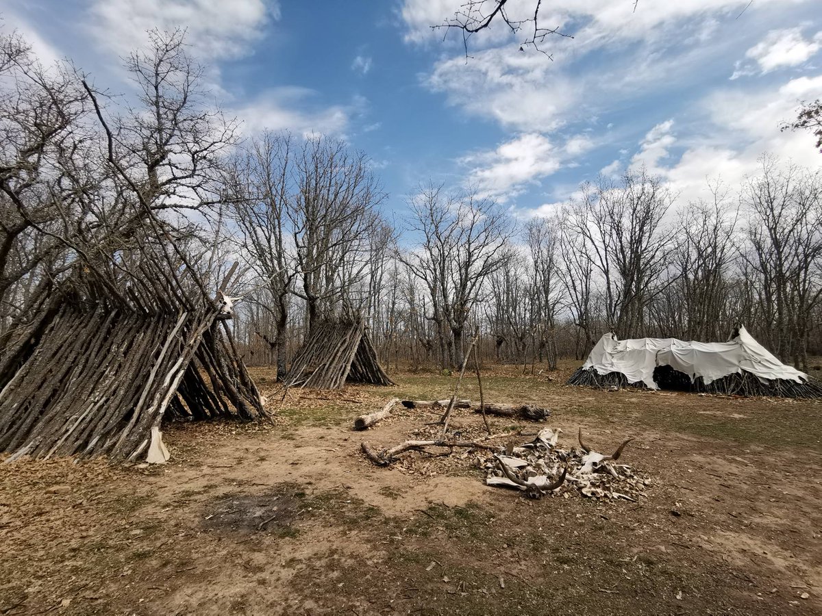 MuseoEvoluciónHumana tweet media