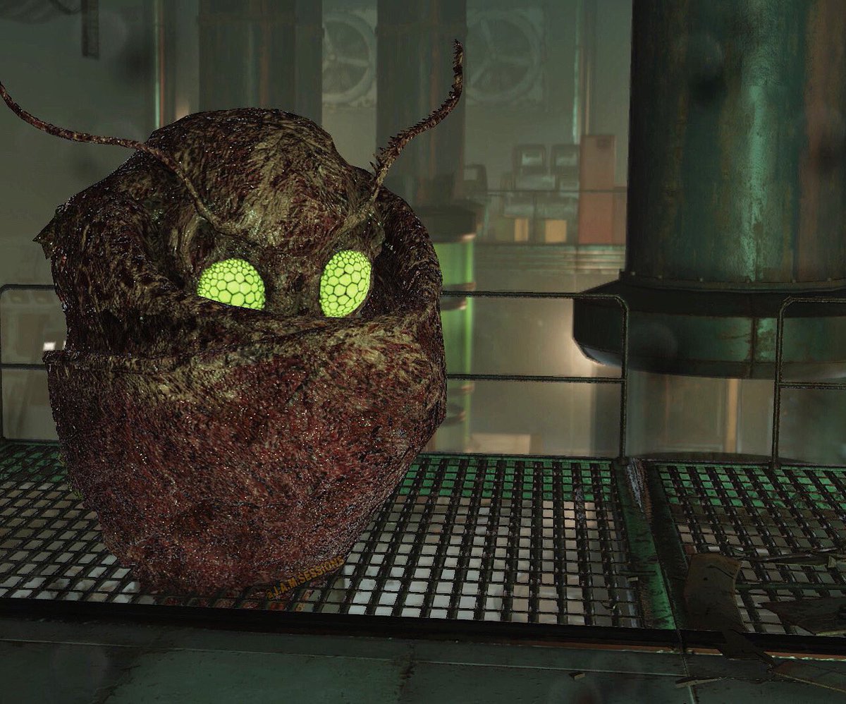 jamsessions_'s tweet photo. “There’s Been An Accident In The Lab- 
Don’t Look At Me”

Mothman Monday 
. . .
#mothmanmonday #laboratory #pathtoenlightenment 

#fallout 
#fallout76 #fallout76photomode https://t.co/fHV0Et6QKt