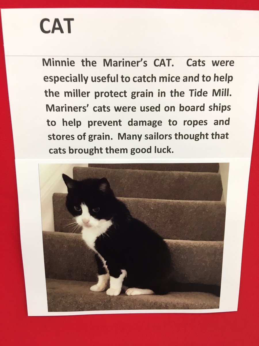 @MaritimePetsMus Another cat for your collection - seen at Woodbridge Museum, Suffolk, England. #woodbridgesuffolk @NauticalHistory @thesuffolkcoast @TideMill_Museum