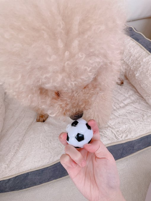 Watch ♥︎official_Hitomi♥︎'s leaked NSFW photo on TwXstars