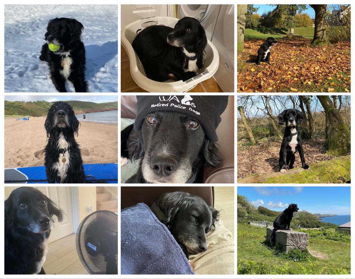 RPDJake's tweet photo. Celebrating one year of retirement. https://t.co/MgHZxKjJWr