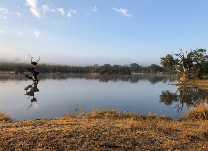 VirginLimitedEd's tweet photo. Questions prepared, eyes peeled, WiFi on - it's time for #sofasafari! Join us live today at 3pm BST/ 4pm SAST from the private Sabi Sand Reserve, bordering the Kruger for a thrilling virtual safari. We'll see you there! https://t.co/dzu7RoN9Ib