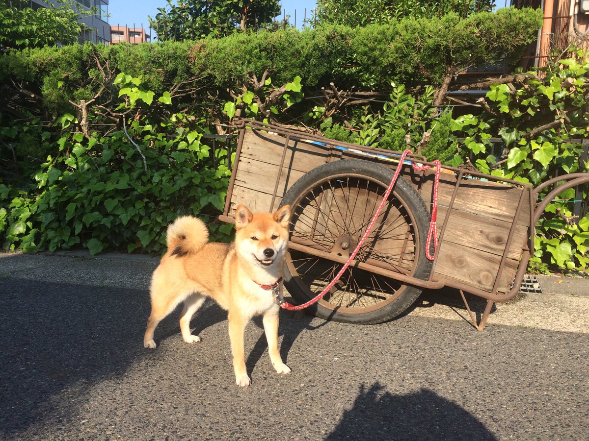 6年前のわたし。若いっていいわね