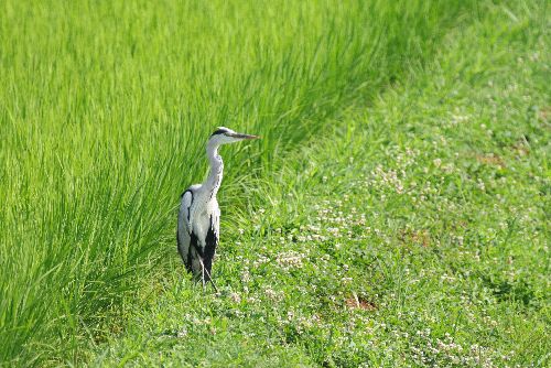 Home Use Night Mode Notifications Notification Sound My Profile Show Profile Account Setting Sub Users Personal Account Business Account Show Me Online Delete History Expose Author Name Cross Video Days Smin Melf Ufyy Htkw Qbfj Ofol Piln Tats