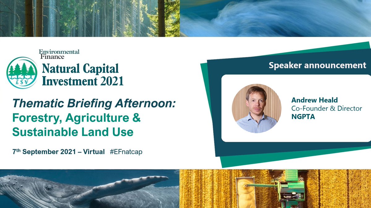 andyheald's tweet photo. Looking forward to talking about "Global #forestry investment opportunities for ESG investors." at the @Enviro_Finance #EFnatcap event on the 7th September - more details https://t.co/l5J8A5jXpj https://t.co/JiLYPs29My