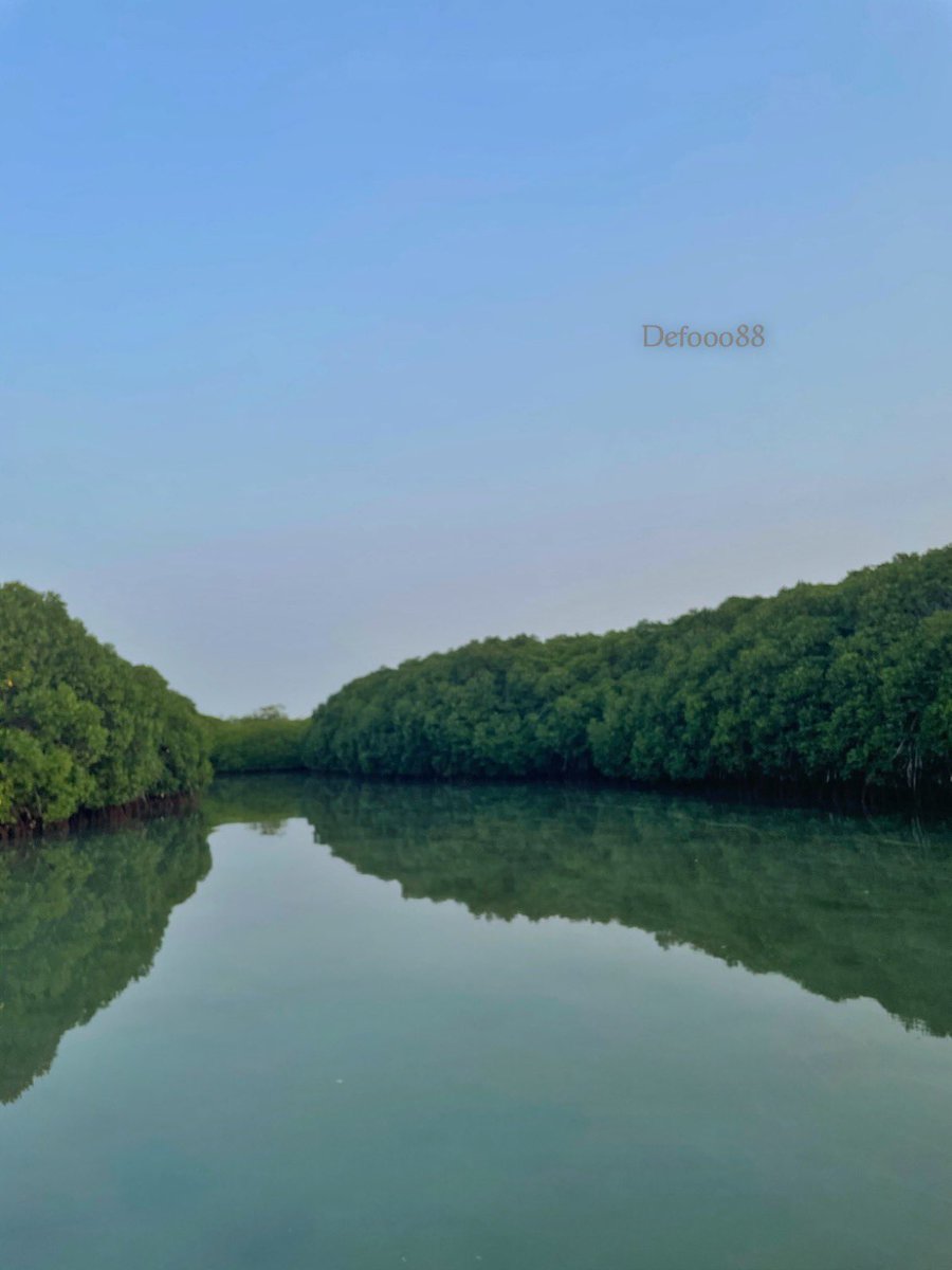 defooo88's tweet photo. الحياة في #غابة_القندل في #جزيرة_فرسان
حيث #الطبيعة والهدوء جميلة جداً😍🤍🎑🌊🌴 

تصوير : البرنس 📸🎥
#سناب_شات
https://t.co/b537f8EztX https://t.co/UzWpDhXIXI
