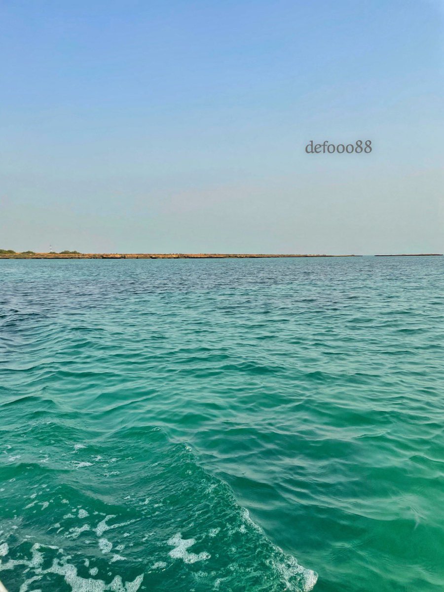 defooo88's tweet photo. الحياة في #غابة_القندل في #جزيرة_فرسان
حيث #الطبيعة والهدوء جميلة جداً😍🤍🎑🌊🌴 

تصوير : البرنس 📸🎥
#سناب_شات
https://t.co/b537f8EztX https://t.co/UzWpDhXIXI
