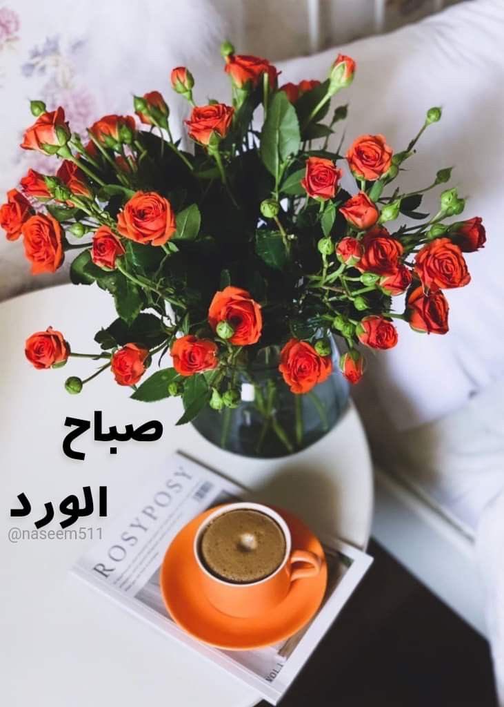 zainroos's tweet photo. @Gumwad_55 https://t.co/OzaGbi1iLC