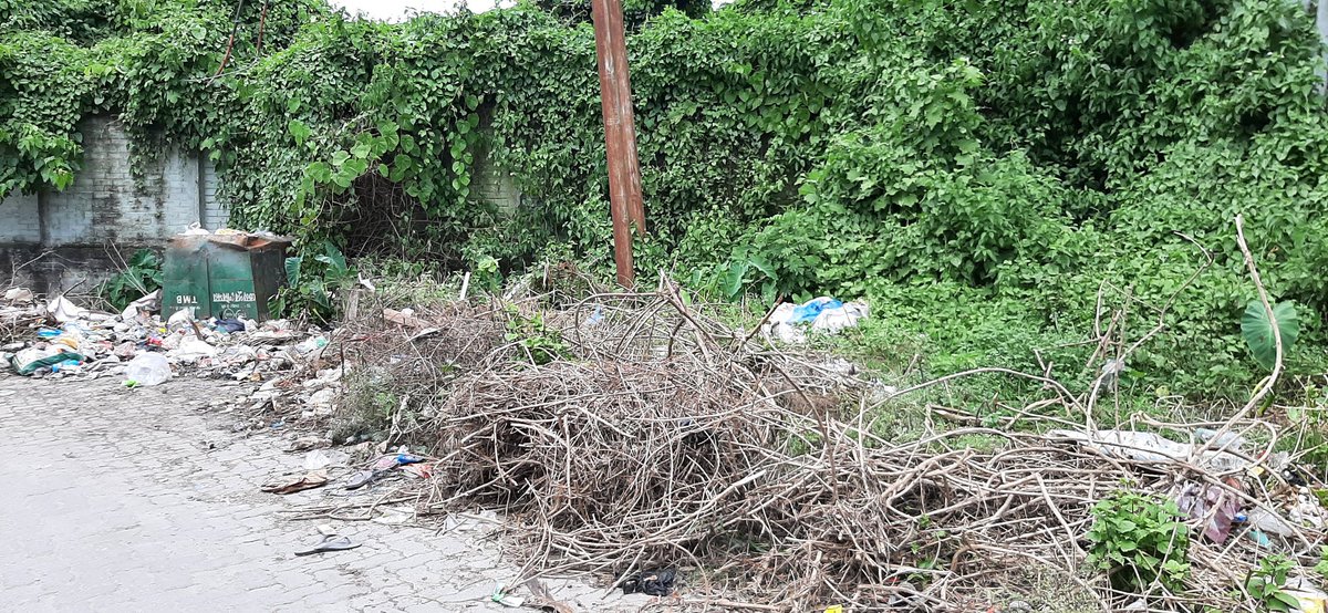 954Yahoo's tweet photo. @BoardTezpur Just look at the way how your employees kept the dustbin inverted.If your employees doesnt wants to work than ask them to leave job.Fade up of complaining about clearing garbage,trimming  bushes,blocked drainage of the Ex Police Line,Durga Mandir Road. https://t.co/MITxc56WGb