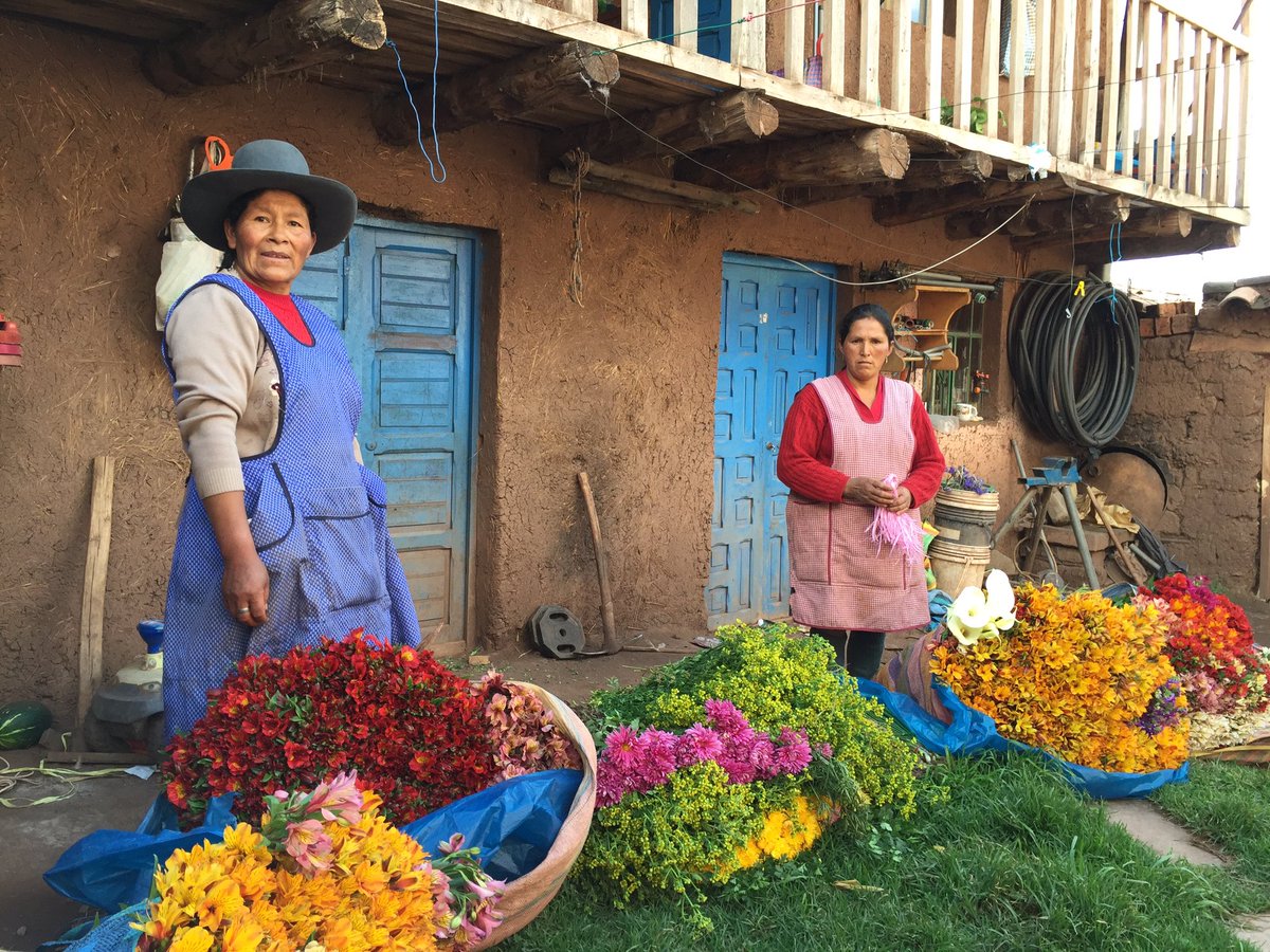 AVSF_ONG's tweet photo. #Indigenousday : en #Equateur, au #Perou #Guatemala #Senegal ou #Mali, partout dans le 🌍 @AVSF_ONG soutient les droits économiques, sociaux & culturels de populations paysannes, indigènes et #autochtones qui vivent de l’agriculture: #agroecologie #pastoralisme #commercequitable https://t.co/rjySPFhi8T