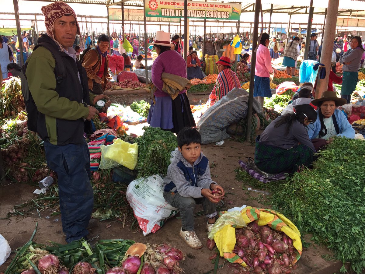 AVSF_ONG's tweet photo. #Indigenousday : en #Equateur, au #Perou #Guatemala #Senegal ou #Mali, partout dans le 🌍 @AVSF_ONG soutient les droits économiques, sociaux & culturels de populations paysannes, indigènes et #autochtones qui vivent de l’agriculture: #agroecologie #pastoralisme #commercequitable https://t.co/rjySPFhi8T