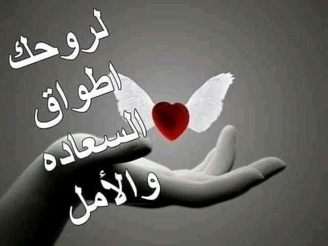 zainroos's tweet photo. @Narjes9056 https://t.co/Z9OzYkB02k