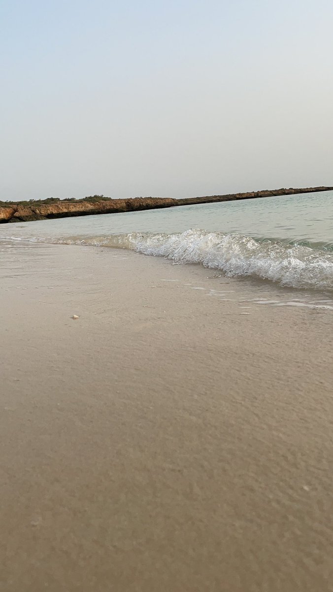 defooo88's tweet photo. شواطئ  #غابة_القندل في #جزيرة_فرسان
😍🤍🌅🌊🌴 

تصوير : البرنس 📸🎥
#سناب_شات
https://t.co/b537f8EztX https://t.co/h2gECfoOCg