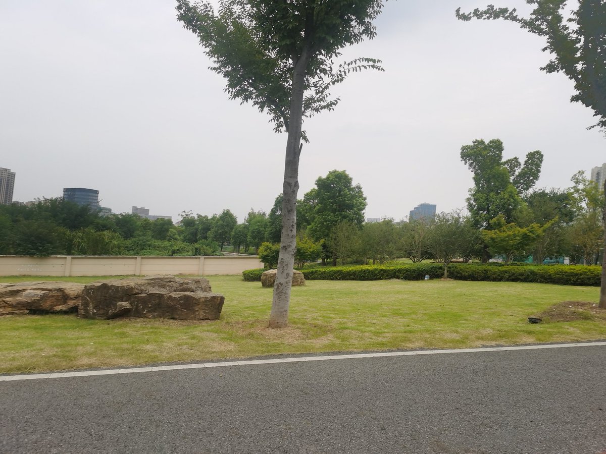 小雨时的公园，最适合野战了。
下着小雨的公园特别好，人少，不热，雨不大，环境好，草丛多，花草多。

非常适合露出，野战。