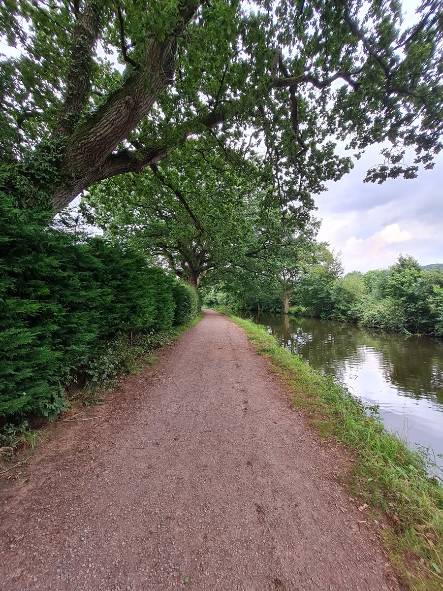 Ankur Biswas tweet media