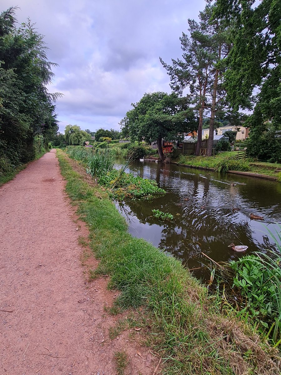 Ankur Biswas tweet media