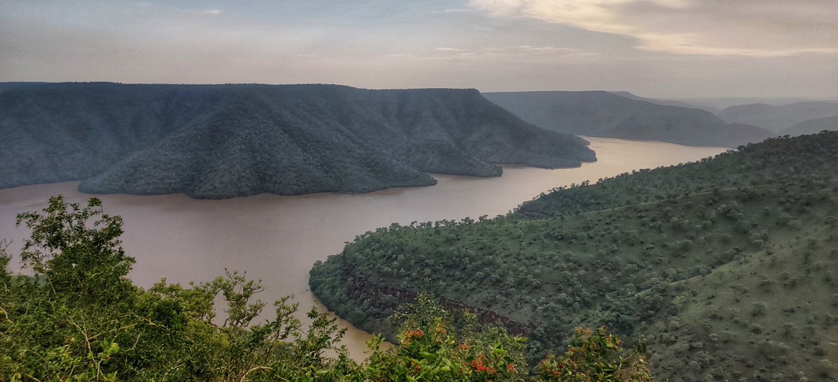 Mythreyaa's tweet photo. A sight to behold: Visited #Srisailam many times but wasn't able to catch up this spectacular location.

#OctopusViewPoint offers a picturesque view of the Krishna river backwaters tucked amid hillocks and lush green forests.

@nstr_tiger @AmrabadTiger https://t.co/O8dv3eOzZb