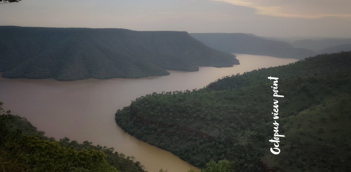 Mythreyaa's tweet photo. A sight to behold: Visited #Srisailam many times but wasn't able to catch up this spectacular location.

#OctopusViewPoint offers a picturesque view of the Krishna river backwaters tucked amid hillocks and lush green forests.

@nstr_tiger @AmrabadTiger https://t.co/O8dv3eOzZb