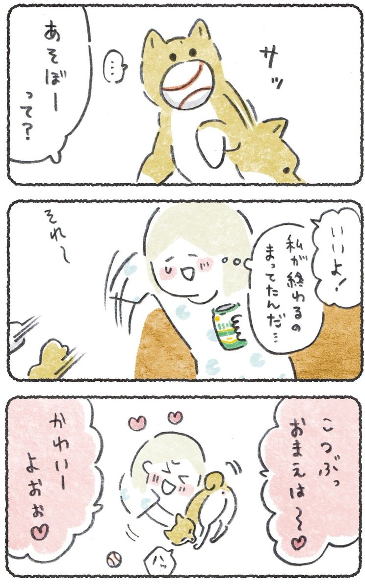 仕事あがりにかまってくれた犬☺️

(リプにつづきが読めるURL貼ります)
#豆しばこつぶ 